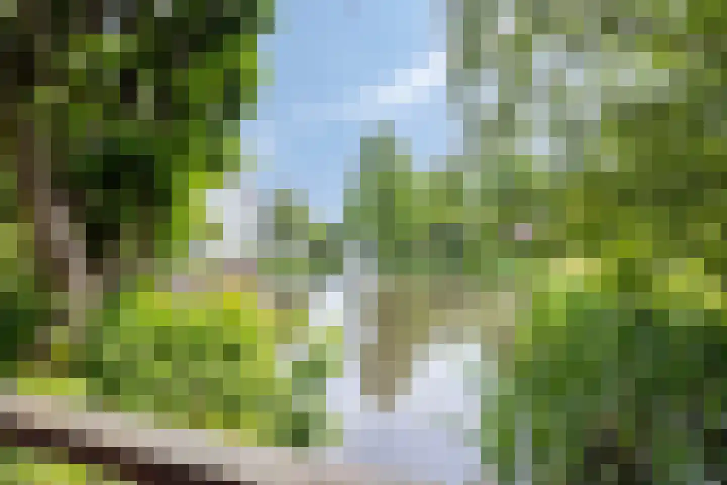 Lindenlaan 24 C Bergen (NH) thumbnail 26