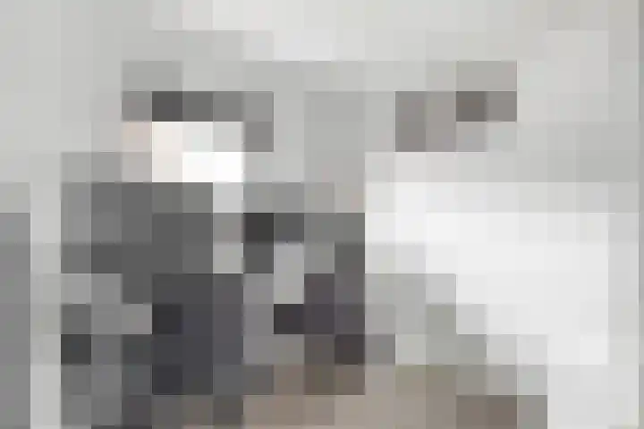 Lindenlaan 24 Nijkerk thumbnail 20