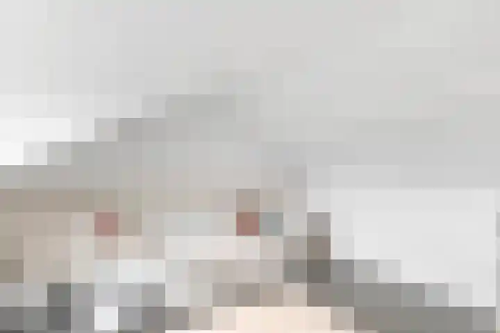 Lindenlaan 24 Nijkerk thumbnail 26