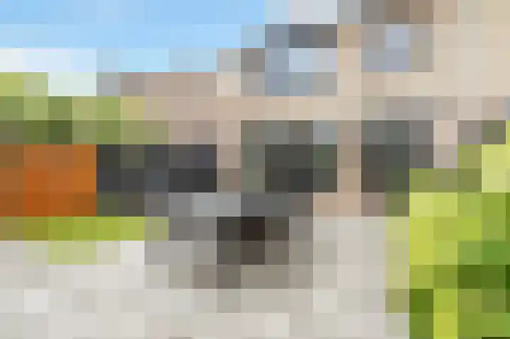 Lindenlaan 24 Nijkerk thumbnail 33