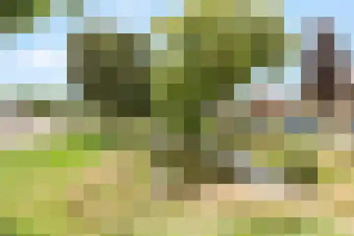 Lindenlaan 24 Nijkerk thumbnail 34