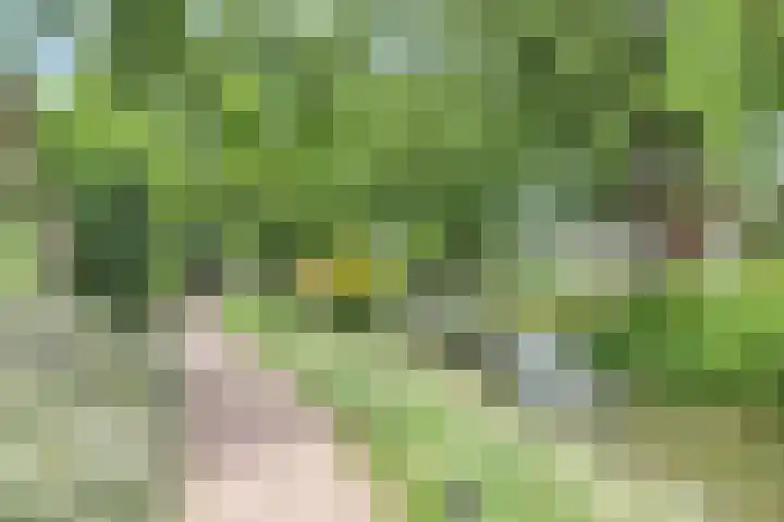 Lindenlaan 24 Nijkerk thumbnail 35