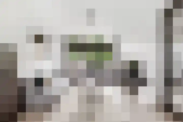 Lindenlaan 24 Nijkerk thumbnail 7