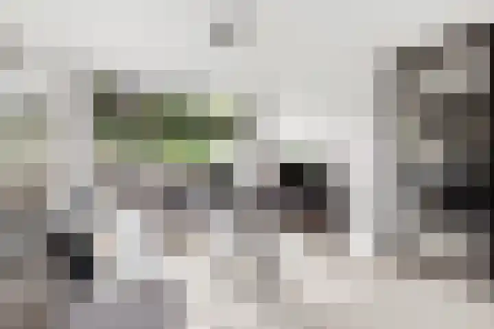 Lindenlaan 24 Nijkerk thumbnail 8