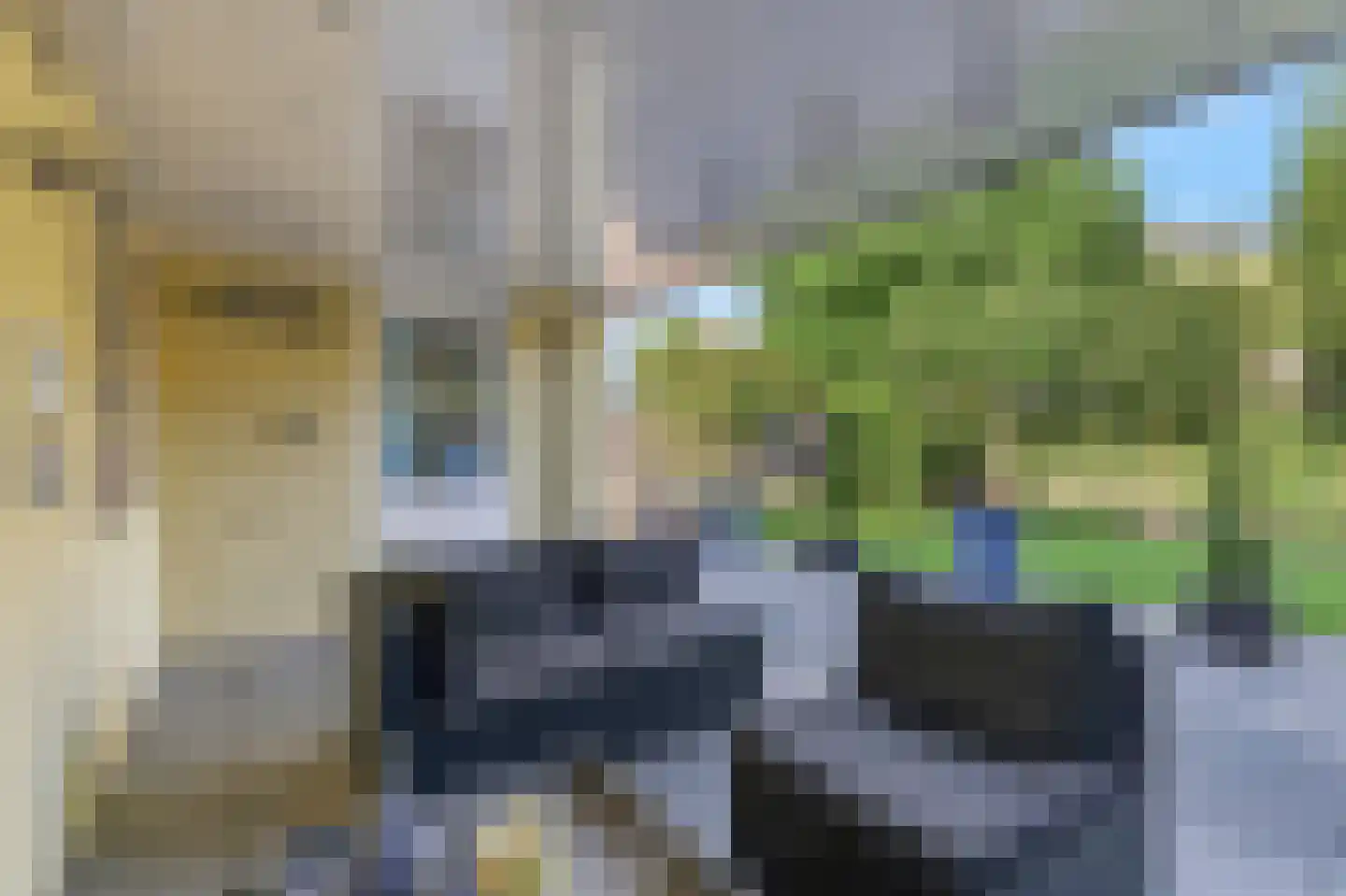 Lindenlaan 24 Wehl thumbnail 16
