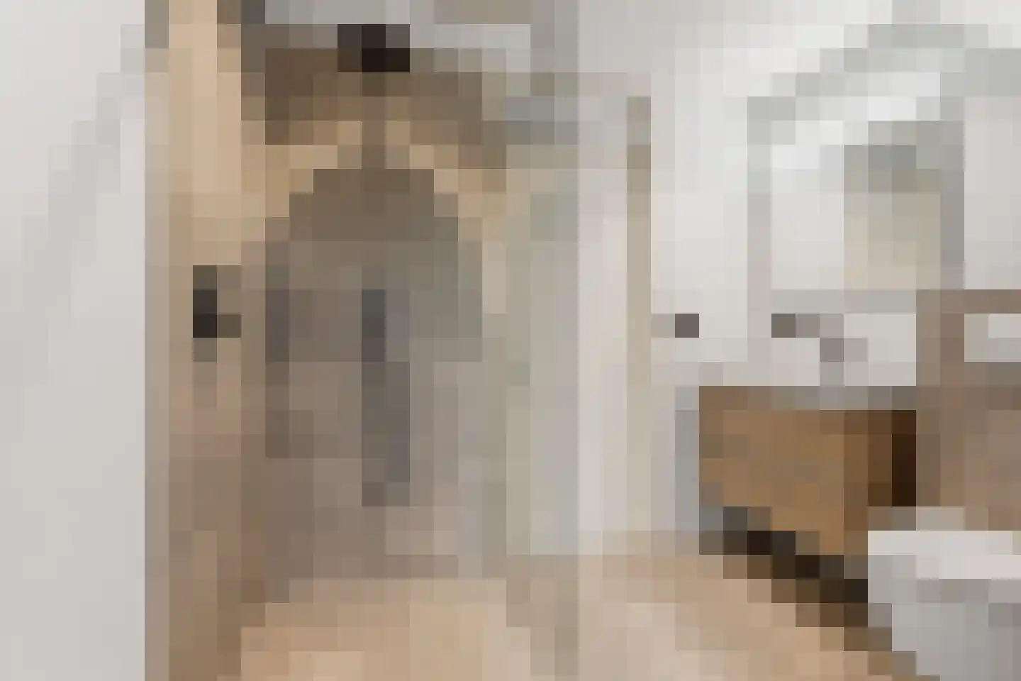 Lindenlaan 24 Wehl thumbnail 41