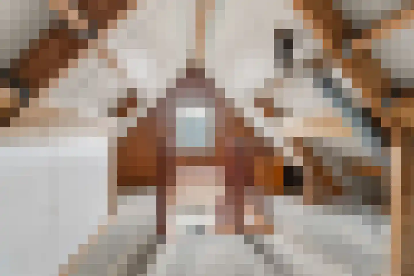 Lindenlaan 24 Wehl thumbnail 43
