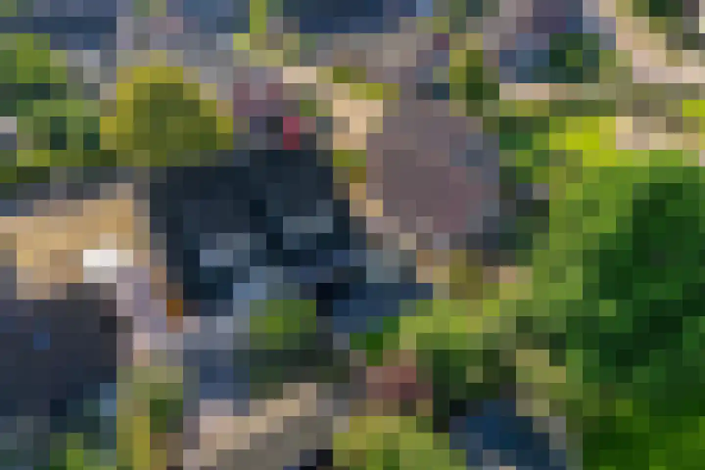 Lindenlaan 24 Wehl thumbnail 53