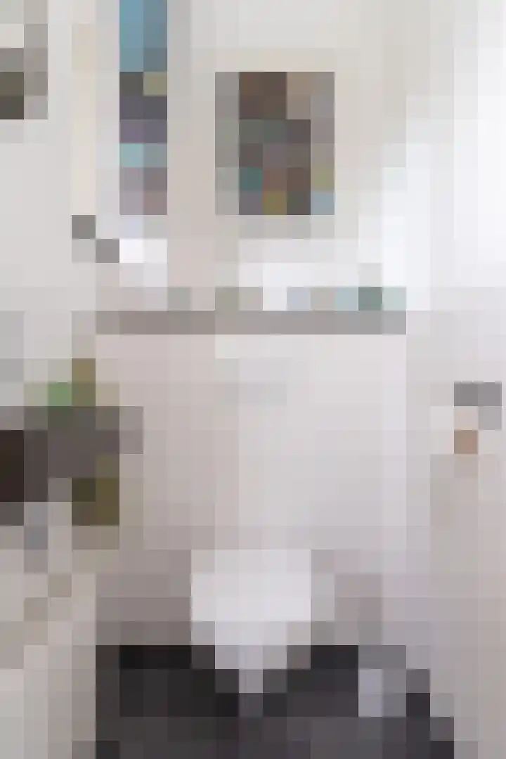 Lindenlaan 24 Wognum thumbnail 14