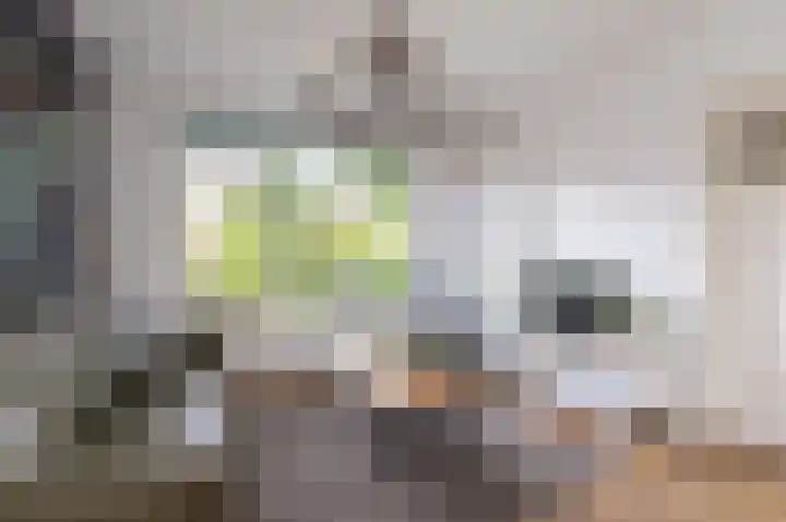 Lindenlaan 24 Wognum thumbnail 15