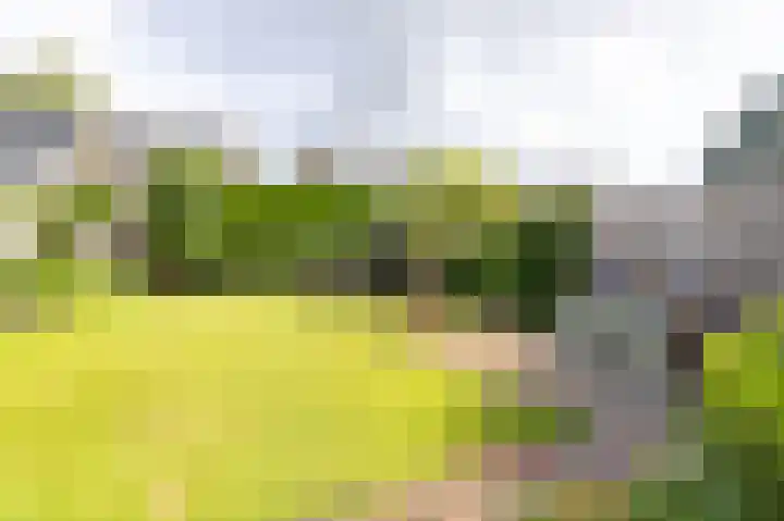 Lindenlaan 24 Wognum thumbnail 23