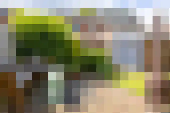Lindenlaan 24 Wognum thumbnail 24