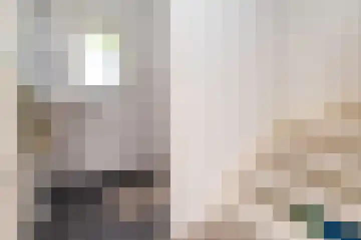 Lindenlaan 24 Wognum thumbnail 33