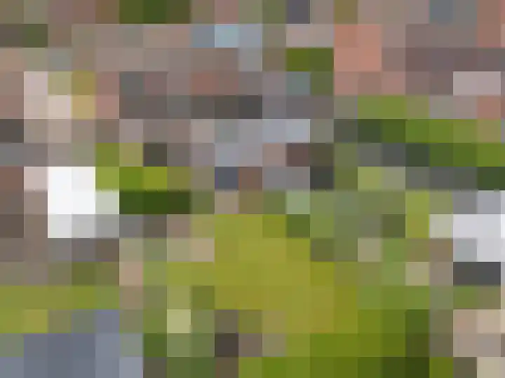 Lindenlaan 24 Wognum thumbnail 5