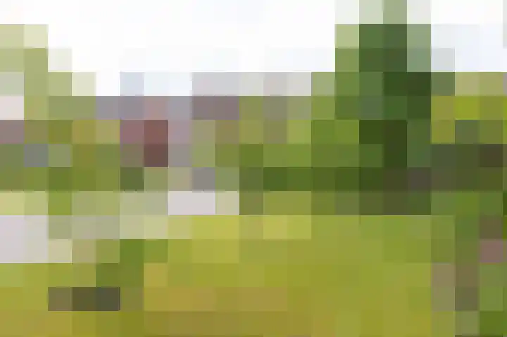 Lindenlaan 24 Wognum thumbnail 7
