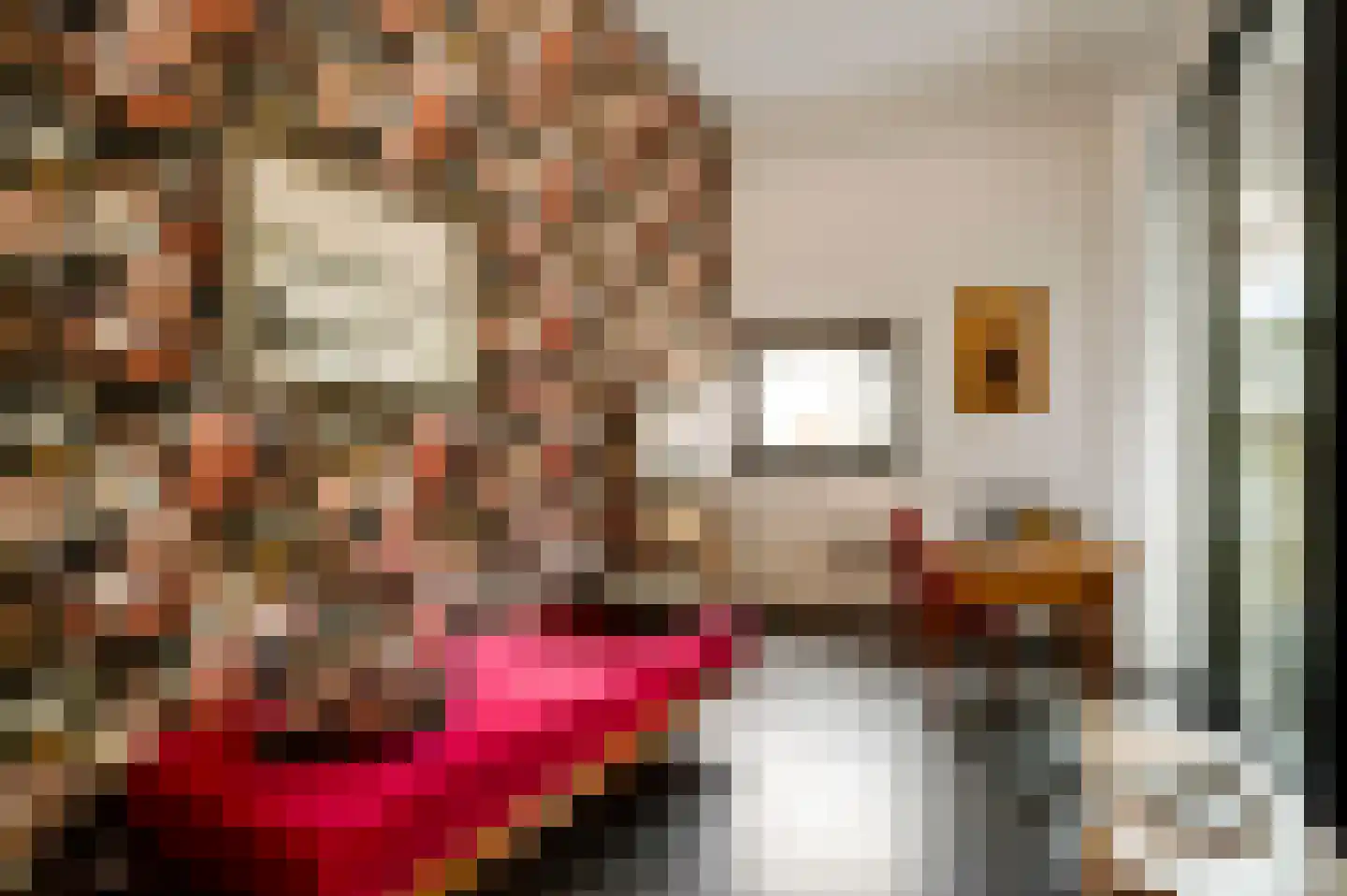 Lindenlaan 25 C Valkenburg thumbnail 12