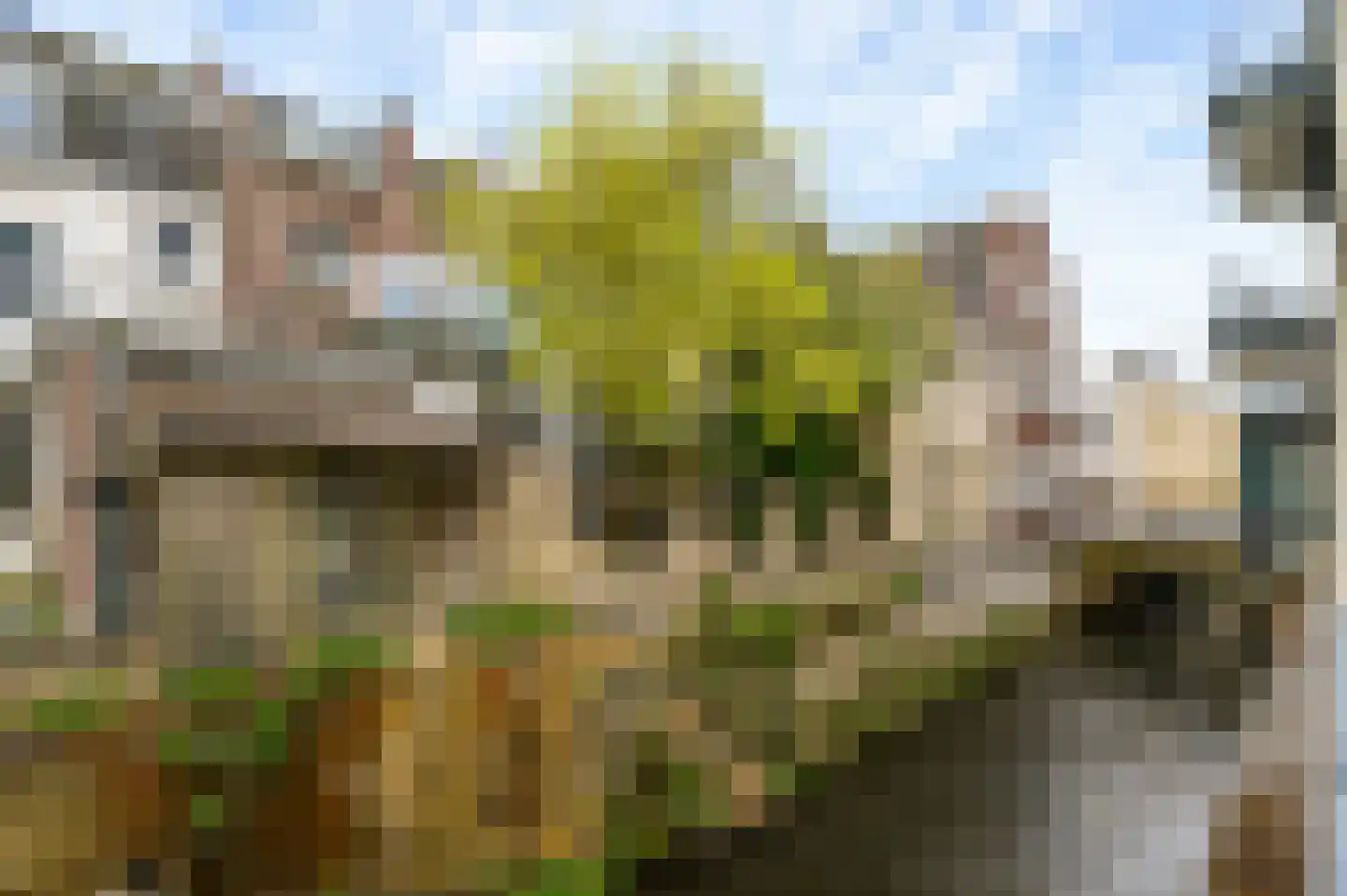 Lindenlaan 25 C Valkenburg thumbnail 19