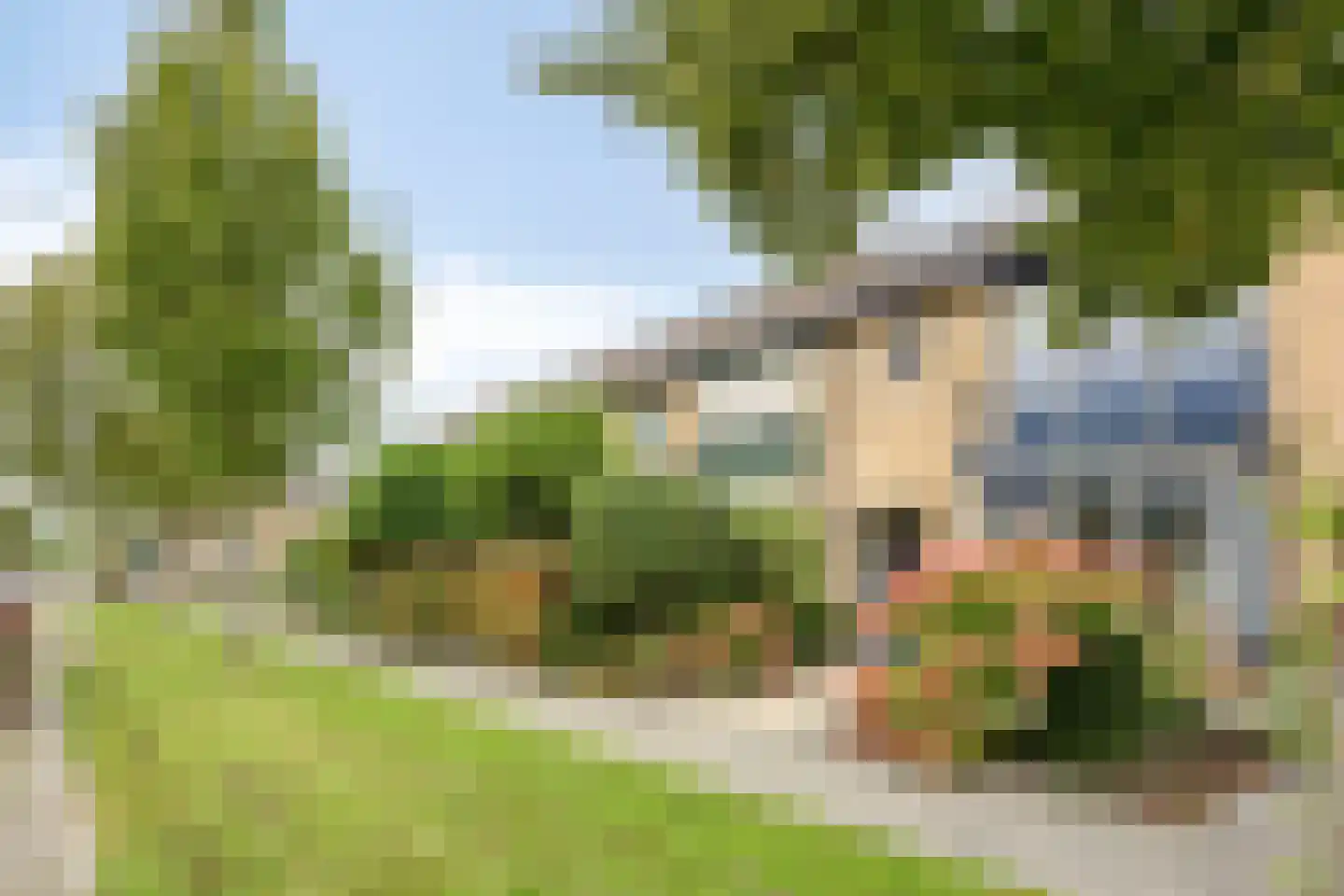 Lindenlaan 26 Klaaswaal foto 2