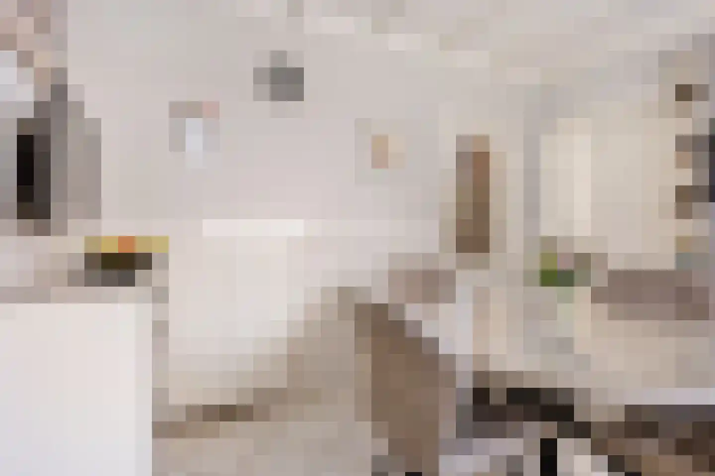 Lindenlaan 26 Wanroij thumbnail 11