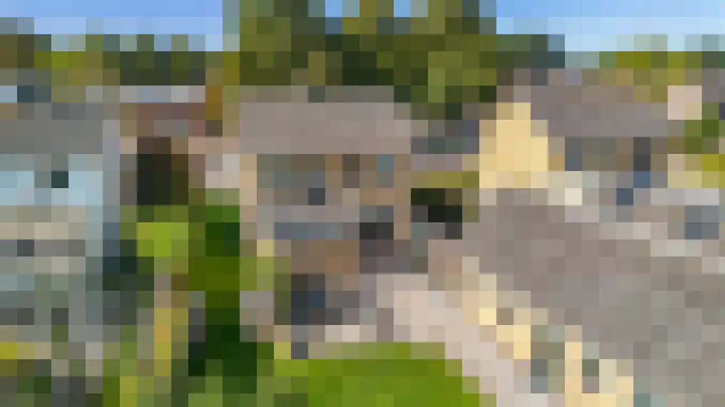 Lindenlaan 26 Wanroij thumbnail 29