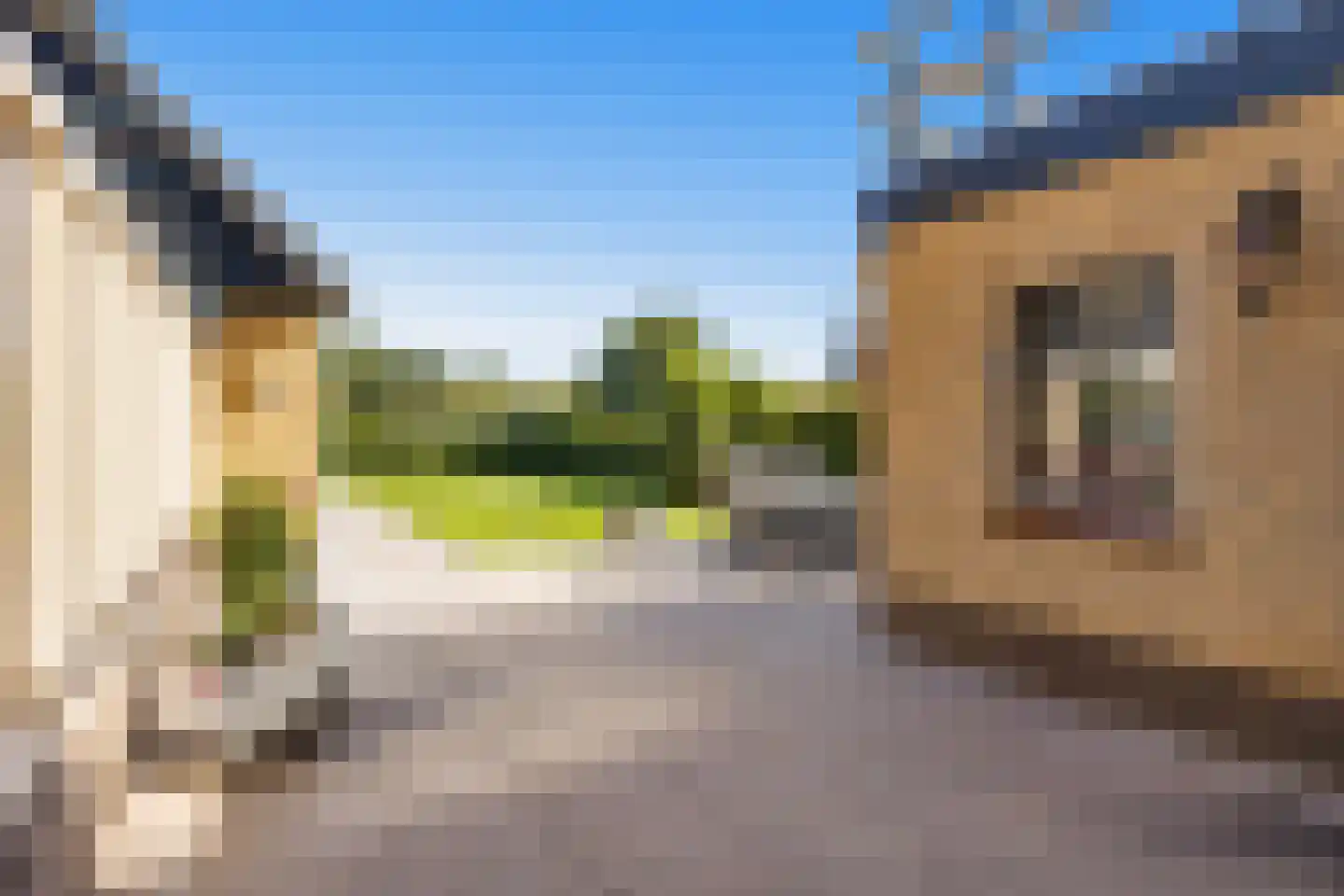 Lindenlaan 26 Wanroij thumbnail 31