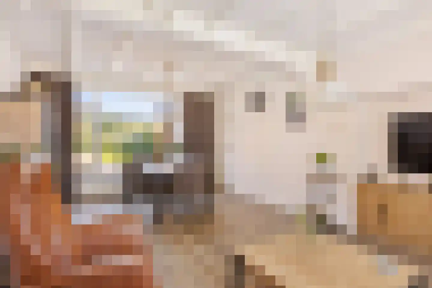 Lindenlaan 26 Wanroij thumbnail 7
