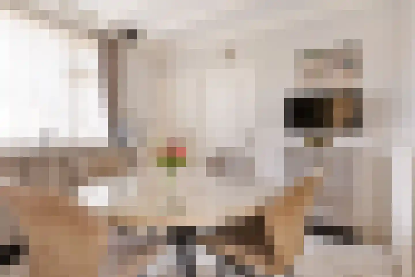 Lindenlaan 26 Wanroij thumbnail 9