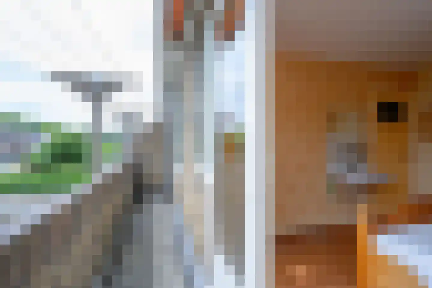 Lindenlaan 27 Beverwijk thumbnail 18