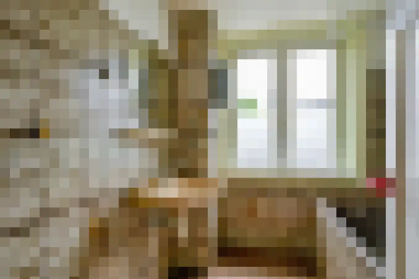 Lindenlaan 27 Beverwijk thumbnail 23