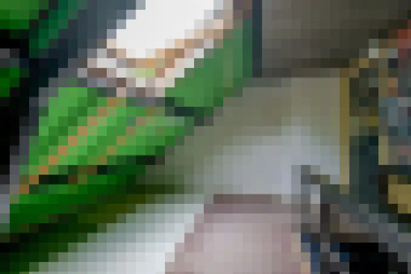 Lindenlaan 27 Beverwijk thumbnail 25