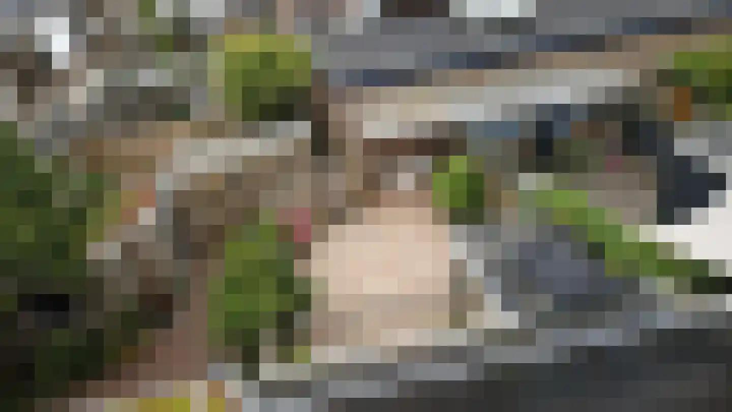 Lindenlaan 27 Beverwijk thumbnail 29