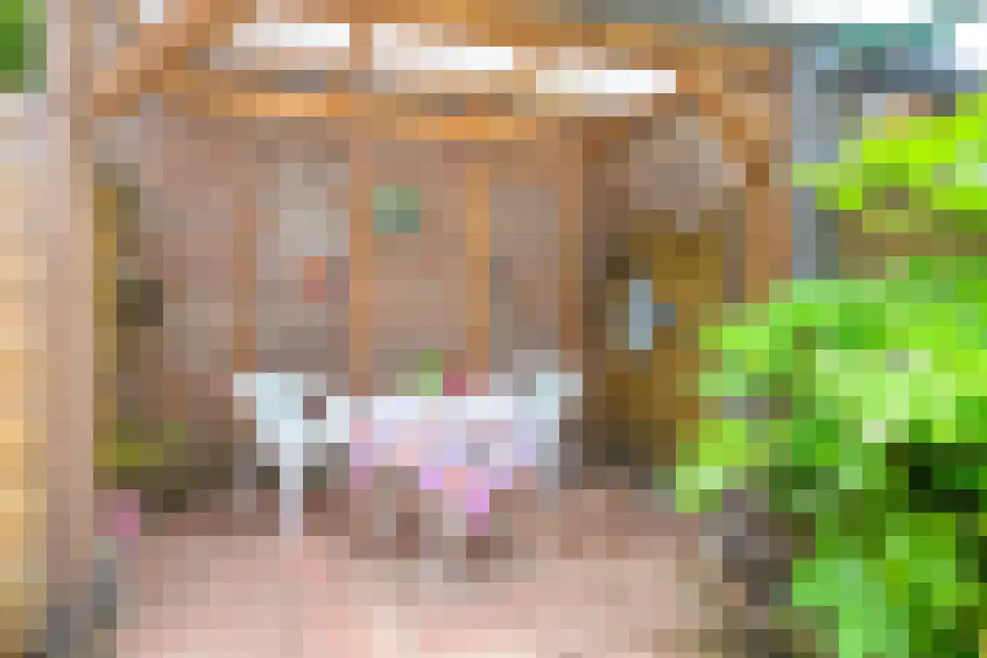 Lindenlaan 27 Beverwijk thumbnail 32