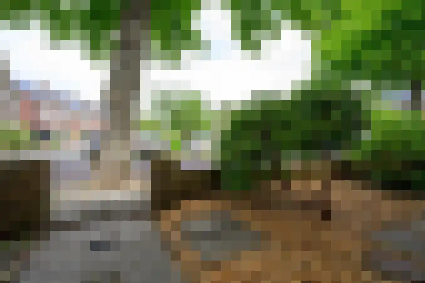 Lindenlaan 27 Beverwijk thumbnail 35