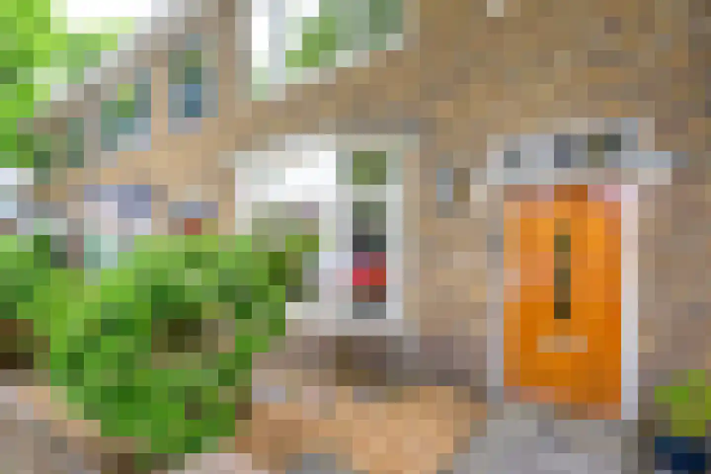 Lindenlaan 27 Beverwijk thumbnail 37