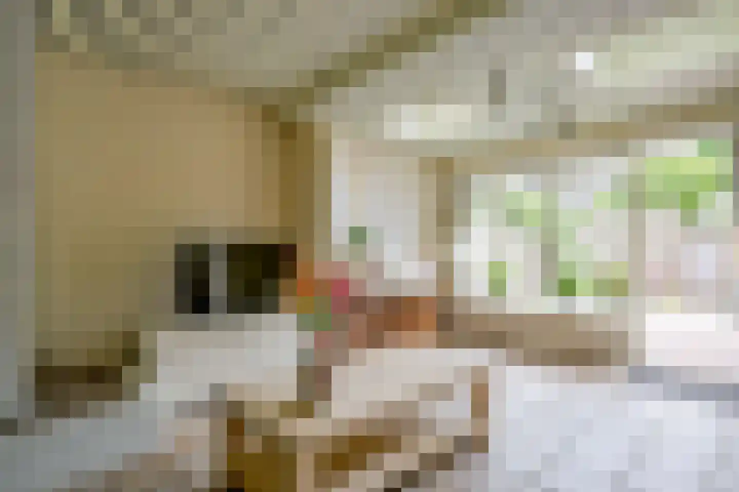 Lindenlaan 27 Beverwijk thumbnail 4