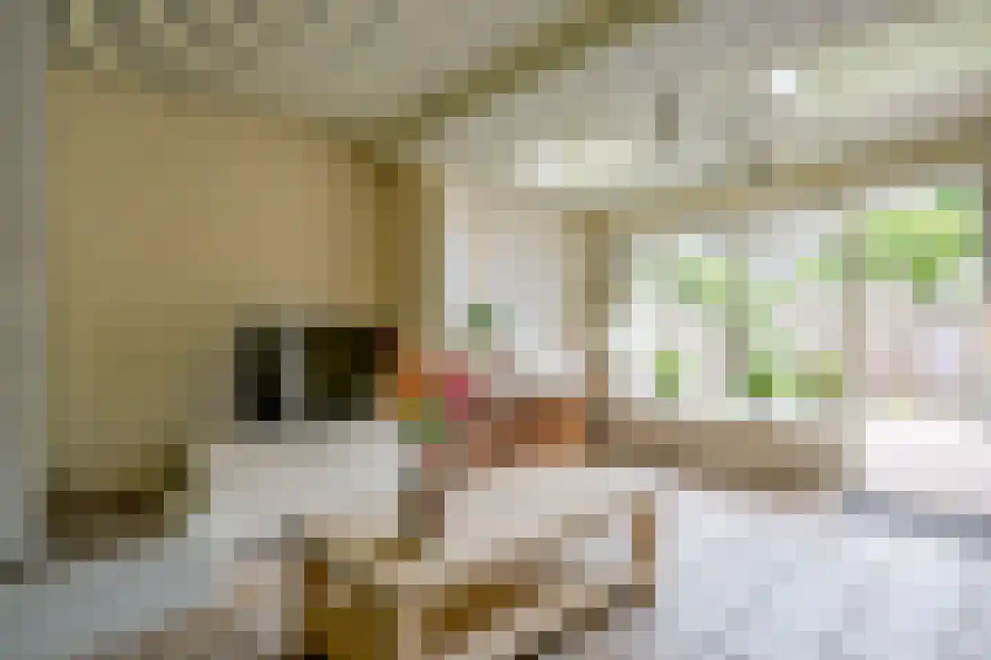 Lindenlaan 27 Beverwijk thumbnail 7