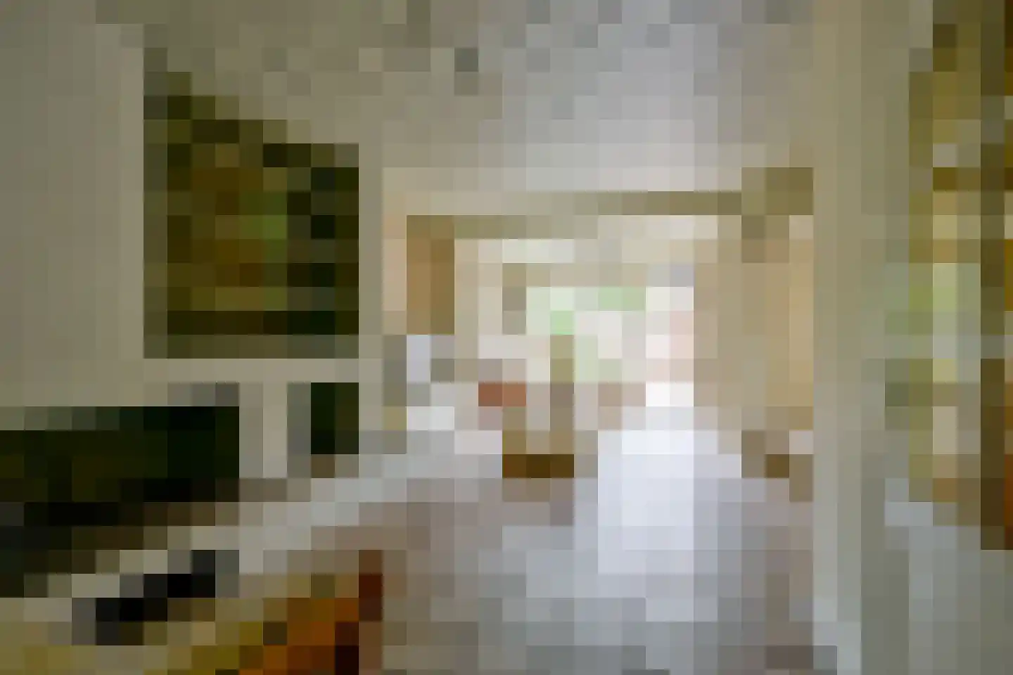 Lindenlaan 27 Beverwijk thumbnail 8