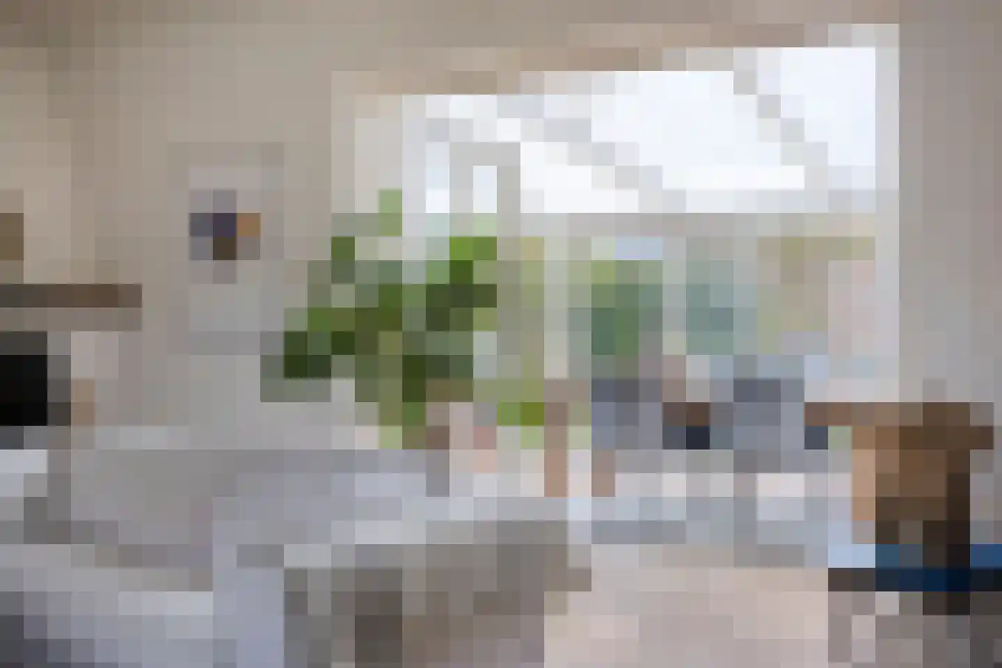 Lindenlaan 27 Oirschot thumbnail 15