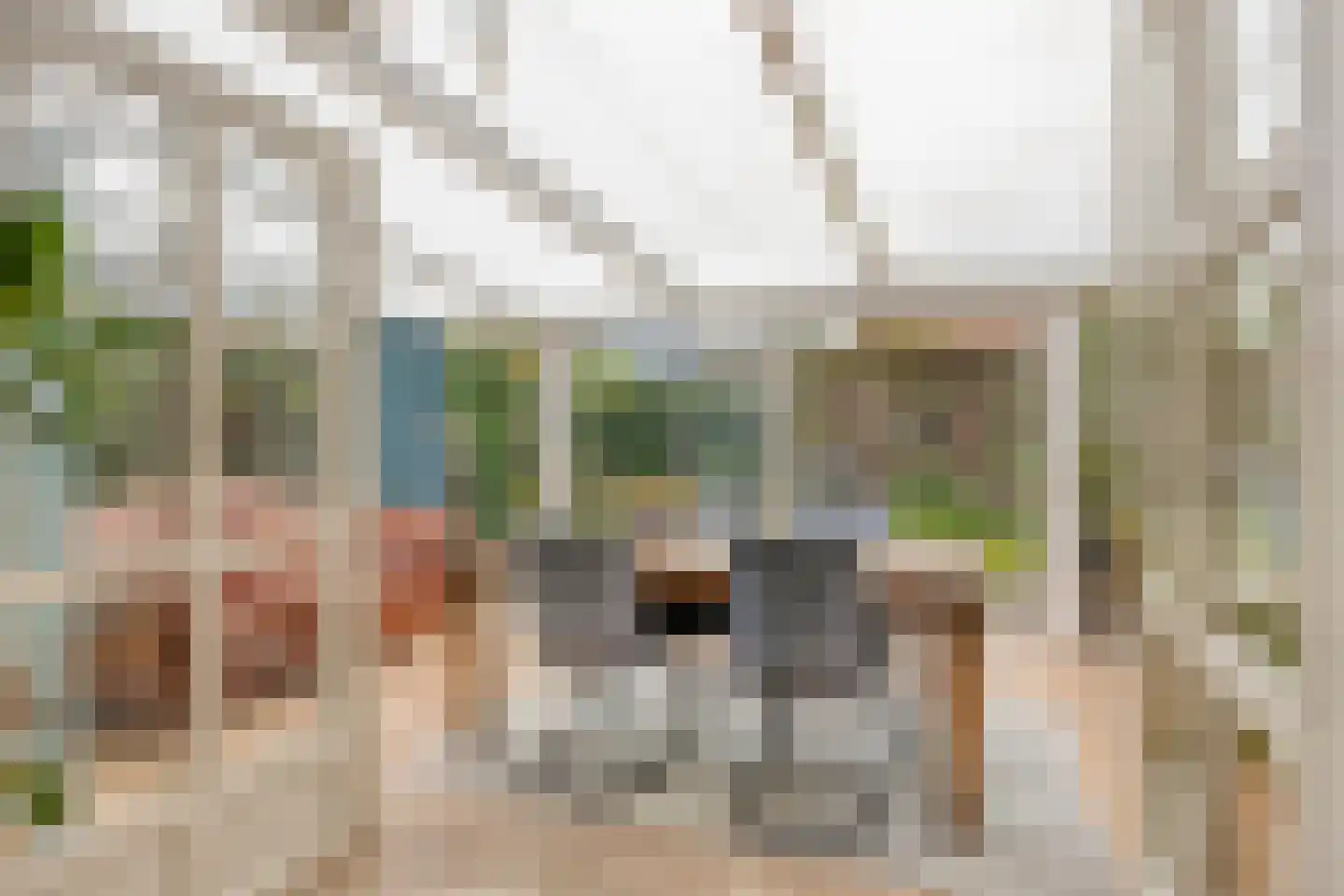 Lindenlaan 27 Oirschot thumbnail 16
