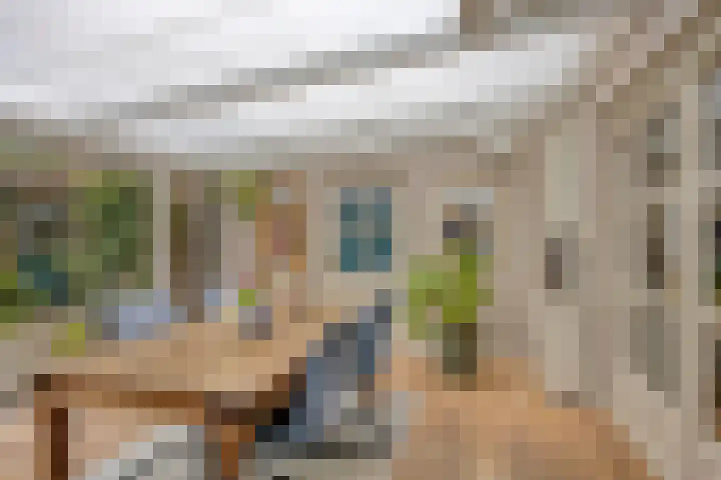 Lindenlaan 27 Oirschot thumbnail 17