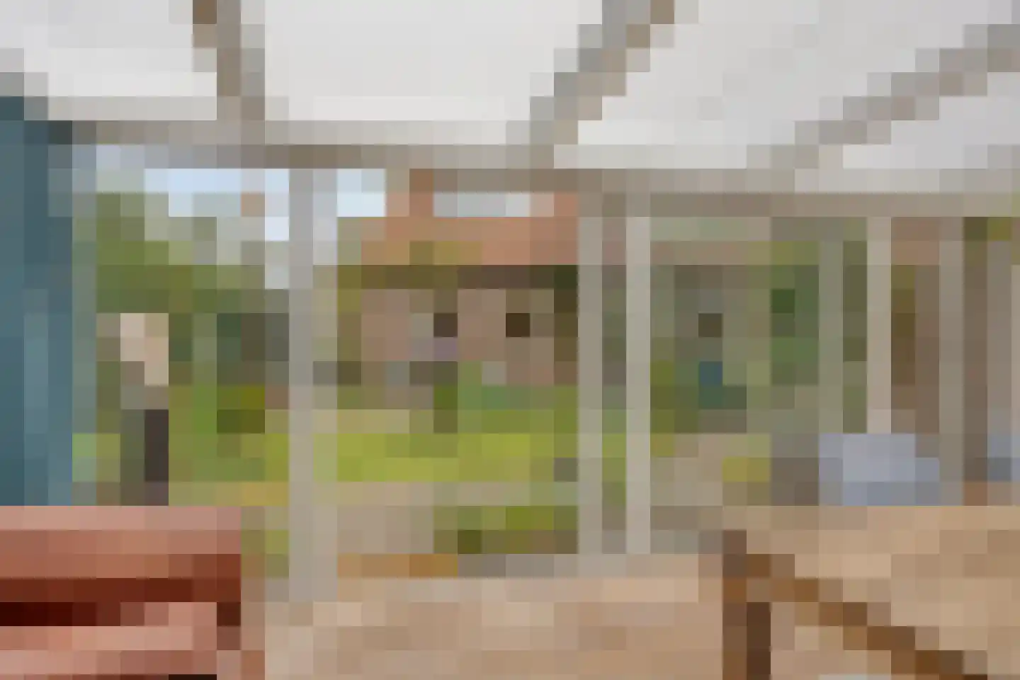 Lindenlaan 27 Oirschot thumbnail 19