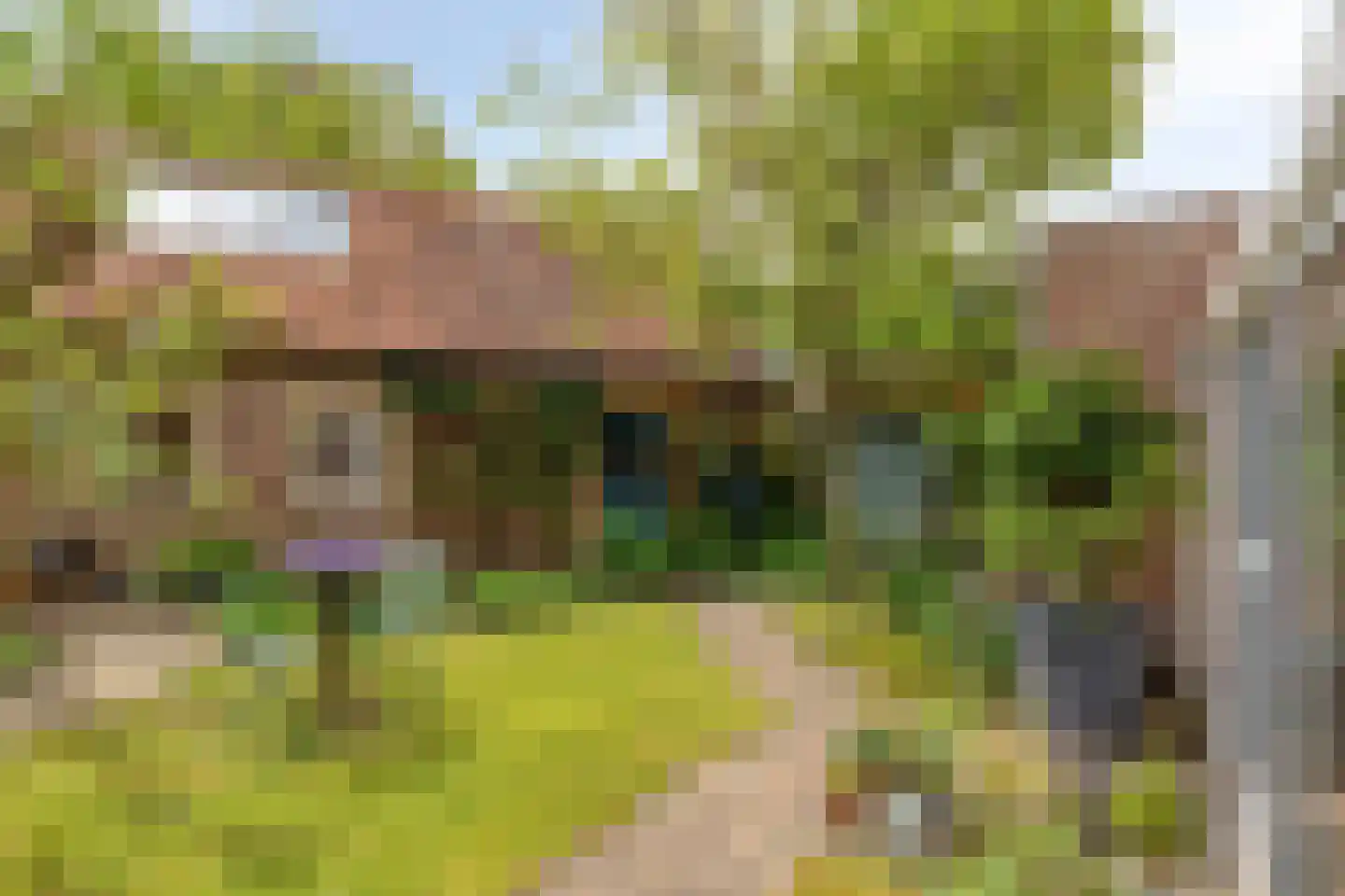 Lindenlaan 27 Oirschot thumbnail 43