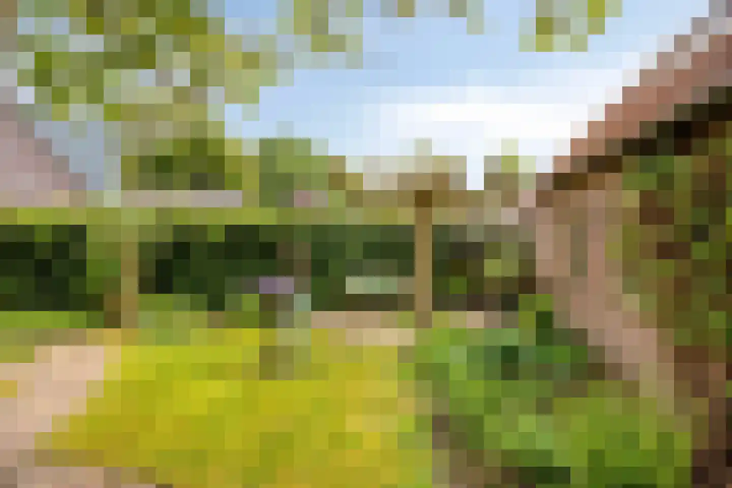 Lindenlaan 27 Oirschot thumbnail 44