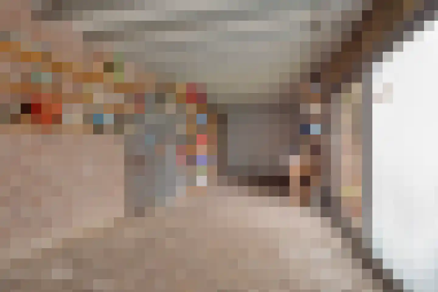 Lindenlaan 27 Oirschot thumbnail 61