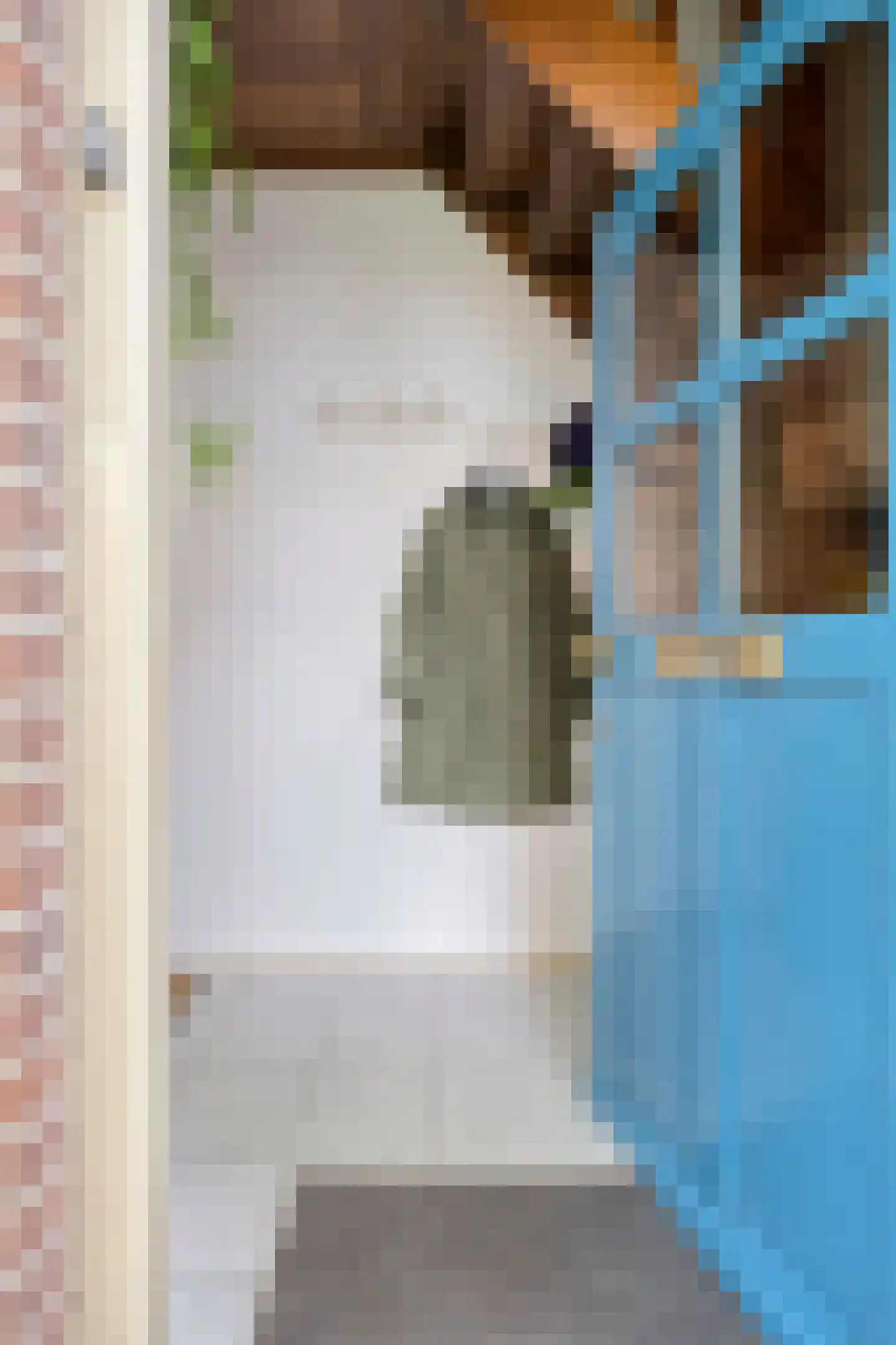 Lindenlaan 27 Oirschot thumbnail 9