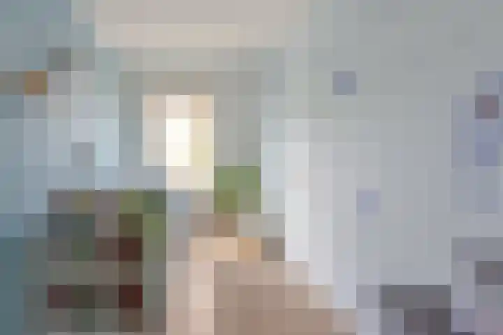 Lindenlaan 27 Zaandam thumbnail 22