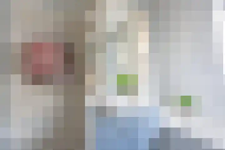 Lindenlaan 27 Zaandam thumbnail 26