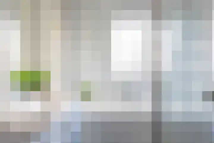Lindenlaan 27 Zaandam thumbnail 27
