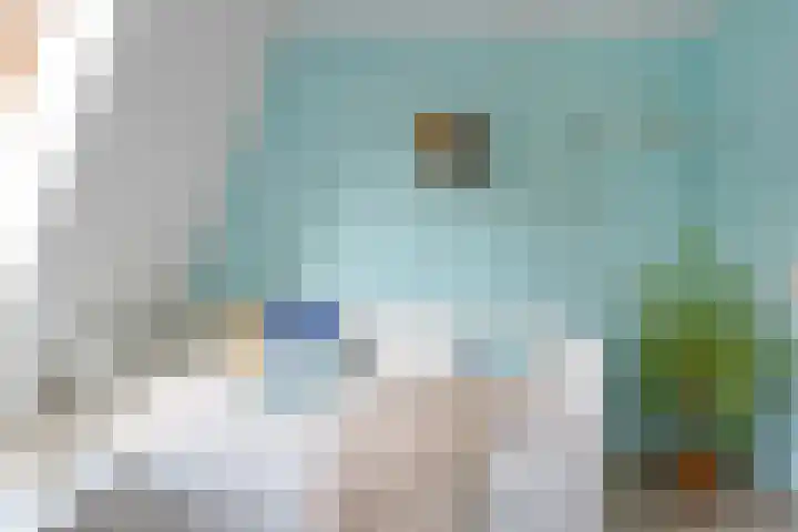 Lindenlaan 27 Zaandam thumbnail 31