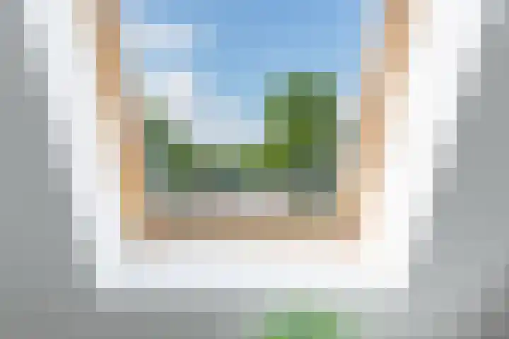 Lindenlaan 27 Zaandam thumbnail 33